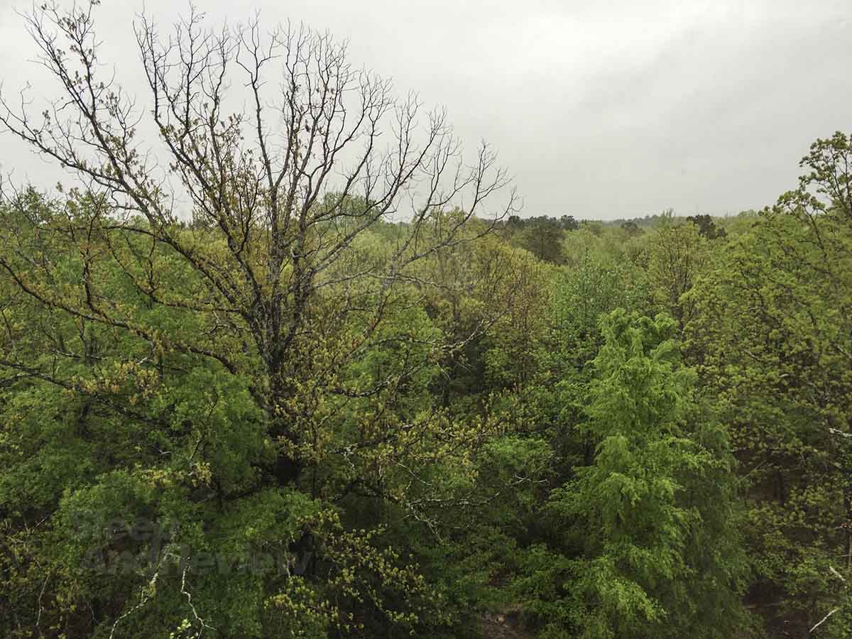 Holiday Inn Express Maumelle Arkansas room view