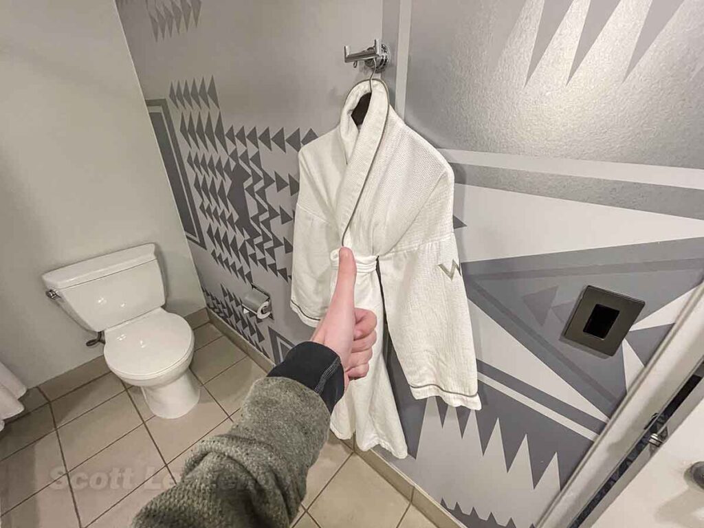 W Hotel downtown Seattle robe